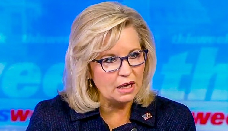 Liz Cheney Fiercely Defend Trump: ‘It’s Not About Race, It’s About Socialists Destroying Our Country’