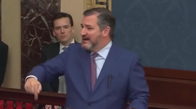 Ted Cruz Erupts On Senate Floor, Even Susan Collins Rips The Dems’ Disgraceful Move