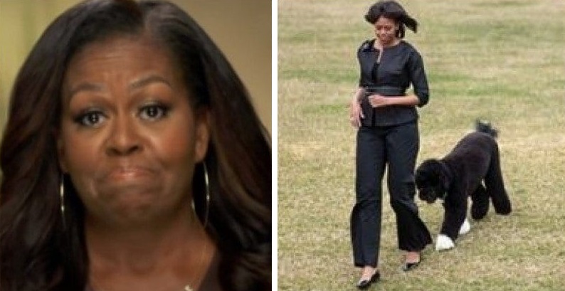 Michelle Obama Says: White People Pet My Dog, But Totally Ignored Me As FLOTUS — Gets Torched On Social Media